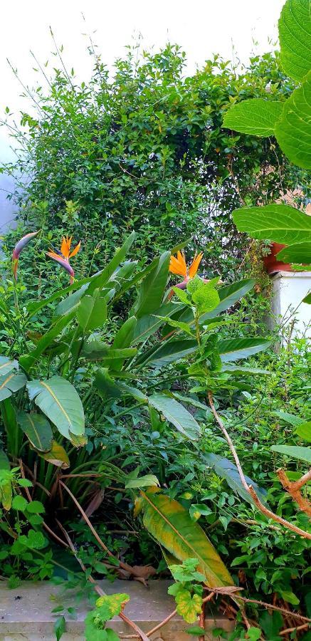 Garden House Pompei Vesuvio Villa Trecase Eksteriør billede
