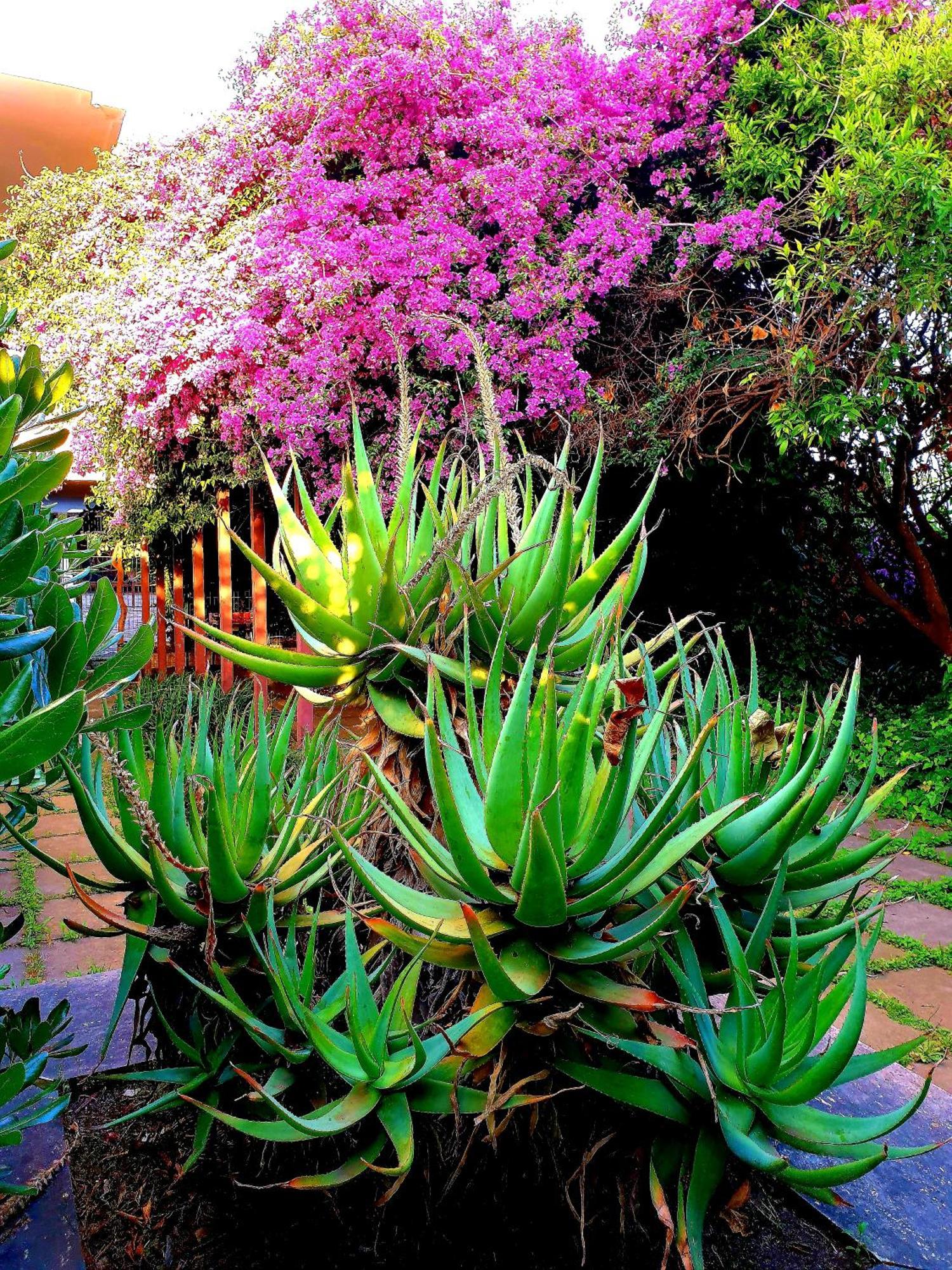 Garden House Pompei Vesuvio Villa Trecase Eksteriør billede