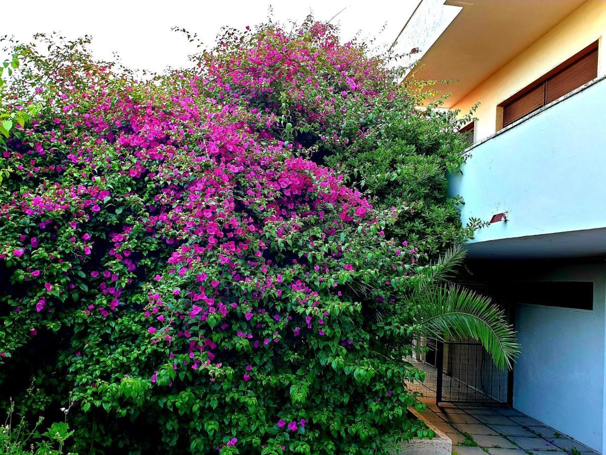 Garden House Pompei Vesuvio Villa Trecase Eksteriør billede